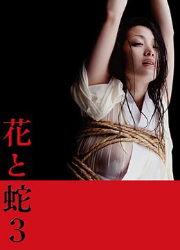《《花与蛇3》免费在线播放高清完整版无广_经典片》2010 海报