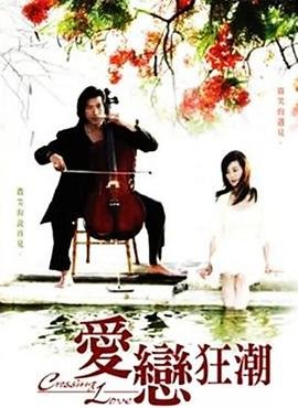 《爱恋狂潮》国产剧在线观看 - 电视剧全集 (2009) 海报