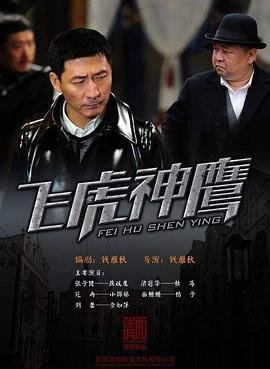 《飞虎神鹰电视剧剧情简介》2011 海报