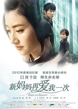 新妈妈再爱我一次电影免费观看完整版 (2012) 海报