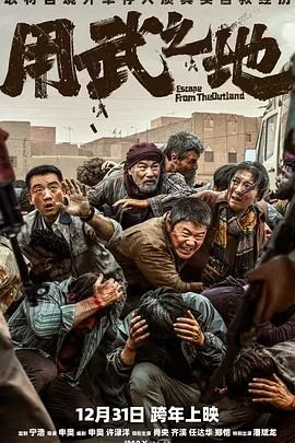 《用武之地》电影在线播放免费观看 (2025) 海报