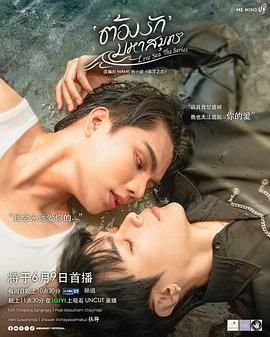 日剧《海洋之恋 爱之归处》高清在线观看-电视剧-全集完整版 (2024) 海报