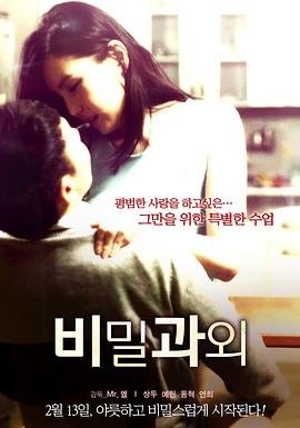 《课外辅导女教师》电视剧在线观看 (2014) 海报