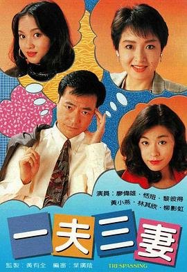 一夫三妻免费在线观看电视剧 (1994) 海报