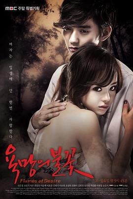 《欲望的火花》电视剧全集在线观看_欲望的火花全集 (2010) 海报