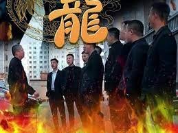 《追龙2》电影免费在线观看完整版HD中字高清全集 (2023) 海报