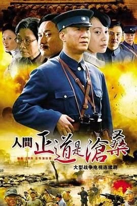 《人间正道是沧桑后半句》2009 海报